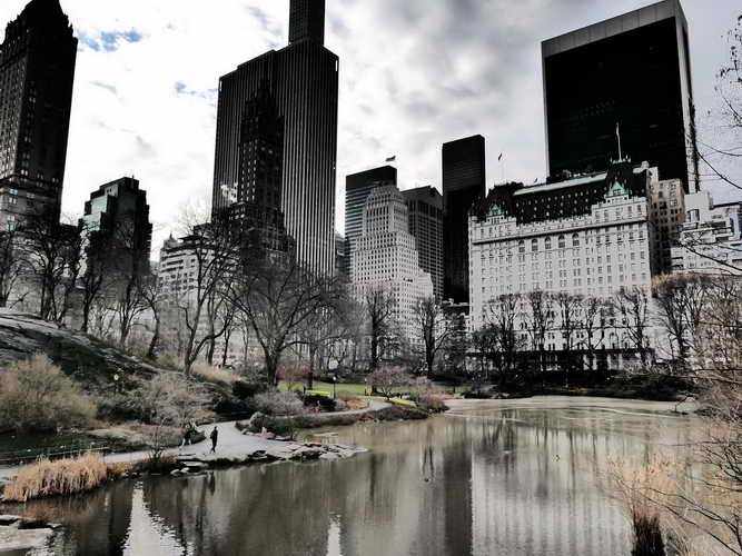 NYC_2020-01-26 08-44-28_P1070492